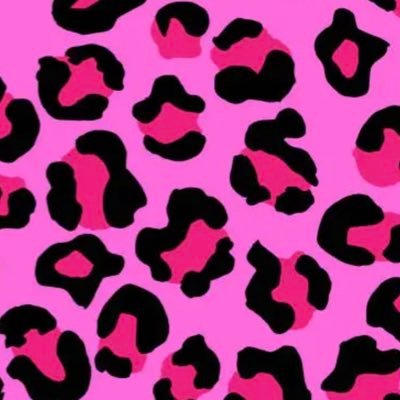 Pink__Cheetah's profile picture. No one out 🏃‍♀️’s the Pink 💗 Cheetah 🐆! Pink Cheetah Express v. TQL (Case No.: 1:25-cv-00552-SLS & 0:2025cvpriO7141 - Join the SBTC where Truckers matter!