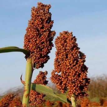 KevinSorgo's profile picture. Back in the 90-ties I was in a very famous TV show