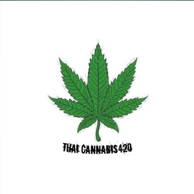 I have fallen in love with Thai cannabis.💚
Thai Cannabis seeds for sale ranging from THC 20-29% 👑
Happy to serve you. 100% organic.🙏🏻