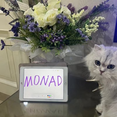 @monad_xyz    LOCALNADS
中国社区传播monad 有想进交流群的私聊
discord  @.toomuchlove
Lewis888