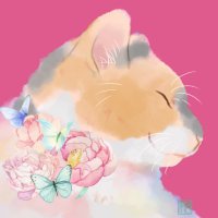 Ⴋ₹ㄘ (@ringoamesyari2) 's Twitter Profile Photo Ⴋ₹ㄘ (@ringoamesyari2) 's Twitter Profile Photo