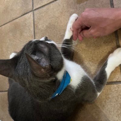 nao_coscos's profile picture. ただの荷物持ちです。専属カメラマンとかではないので、僕のことは気にしないでください。あとバレーボールやってました。