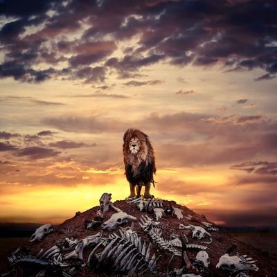 A Simple thought Can change a life.
Learn the art of Achieving Your Goals and Make your Goals a Goal worthy |
||| Be Untamed |||