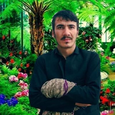 MasoudZala24558's profile picture. 