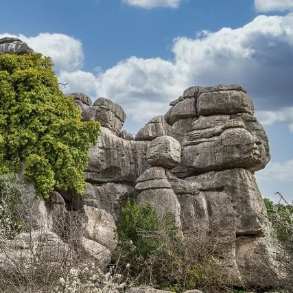 Priyangani39966's profile picture. 