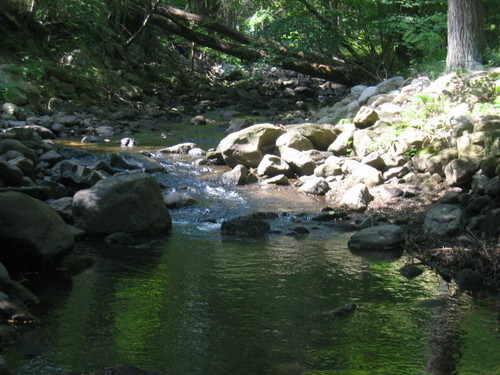 JSTurner1's profile picture. 