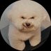鯖 (@abcdefghuni) Twitter profile photo 鯖 (@abcdefghuni) Twitter profile photo