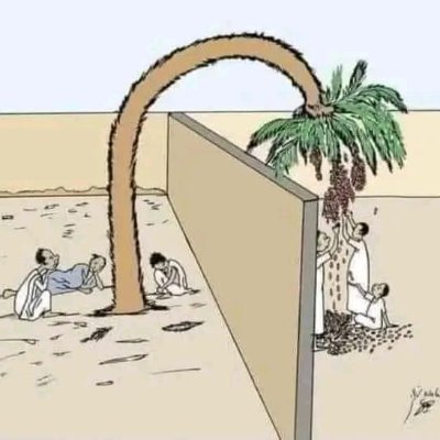 MusaIdriss27530's profile picture. $BUBBLE