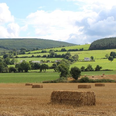 Society of Irish Foresters