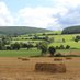 Society of Irish Foresters (@irish_foresters) Twitter profile photo Society of Irish Foresters (@irish_foresters) Twitter profile photo