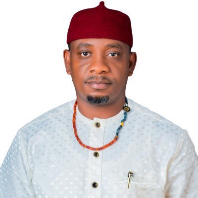 #Igbo, #Electronics Engineer, #SAP Professional, #State Legislator, #African Development Propagandist