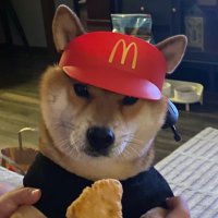 Wwwww_ (@shore_leavew) 's Twitter Profile Photo