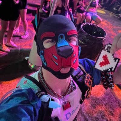 Phx pup looking for fun. into EDM and gaming for the most part. I don’t like to skip the gym💪🏼🐶