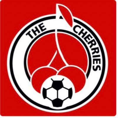 Clumsy soccer broadcaster for @gvltriumph etc. 🇬🇧 🥎 dad, referee 🏉 🏈 ⚽️, ska addict. 🍒 🐝🦉🐬 🏴