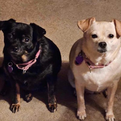 RACINRYAN89's profile picture. 