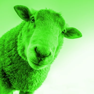 #Nostr is better
greensheep@iris.to (not an email) or npub18m6az6939auxwgl3dvpq0slxglv6ez64fzhns5u5qstgdtedmxds9e47pz

https://t.co/XgJFotPhg9