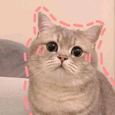 bebichan02's profile picture. 