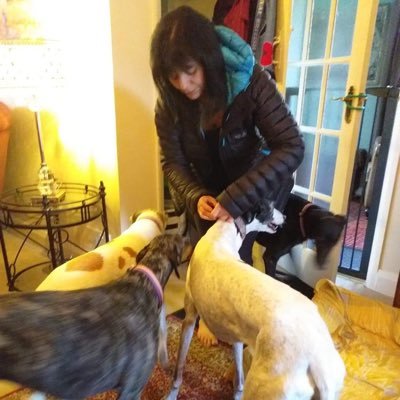 GreytJaner66's profile picture. Greyhound/ Galgo advocate 🇬🇧