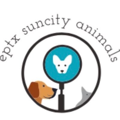 I take care of animals for busy pet parents so they are happy & healthy 🐾 All the details are found on the website! 🤍