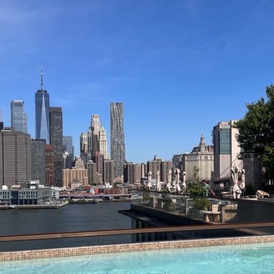 pythonfi's profile picture. “With gratitude optimism is sustainable”