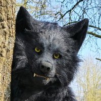 Guzard (@guzard1) 's Twitter Profile