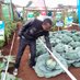 #FoodSecurityKE (@fieldagronomist) Twitter profile photo #FoodSecurityKE (@fieldagronomist) Twitter profile photo