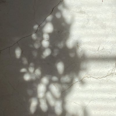 Lou_Allevato's profile picture. 