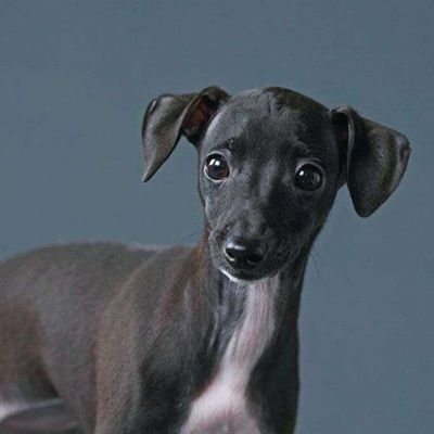 GandalfGrey39's profile picture. Forever starts today.