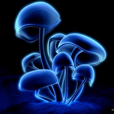 Digital Blasphemy 3D Wallpaper online since the 1997 · Created that blue mushroom wallpaper · Digital Artist/Collector 👉🏽 https://t.co/k7PRrUa0El