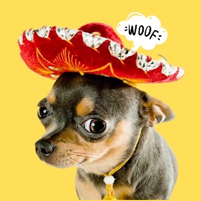 Launch soon! 
Join the pack and let's salsa our way to the moon together. 
Arriba! $WOOF

NFTs:  https://t.co/2gQjv5nimo