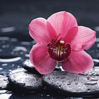 Hera427's profile picture. 💫👧👦👦👧 ich bin die Verwaltung des Chaos