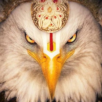 SriGaruda108's profile picture. Secular like Congress made by Jinnah & Gandhi- Secular like TMC & APP operated by  Ze-hadis & George Soros.