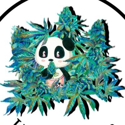 I'm a 23-year-old Japanese!Cultivating cannabis and mushrooms at home😏🍄We are based in Japan and Thailand.😁🐼My cannabis  brand→@leuke_dagen_jp