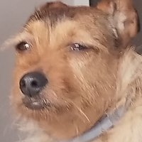 Unknown (@eunknownmw) 's Twitter Profile