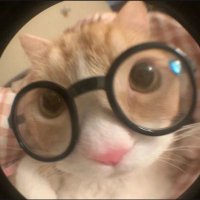 鸭吖 (@tjr190826) 's Twitter Profile