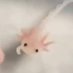 Axolotl had an Attitude Adjustment! (@AxolotlAnon1) Twitter profile photo