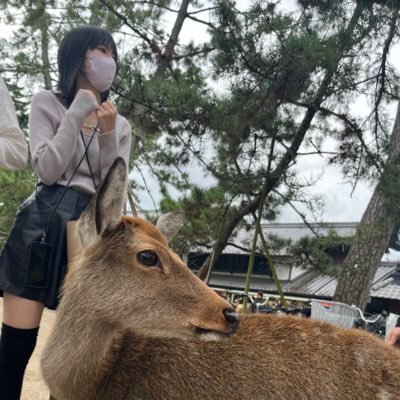 日出家 ひで男.まさ子.えみ子