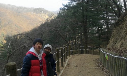 춘천 문화재 풍수지리 야생화 정치 옥외광고  40대 중반 그러나 사랑을 꿈꾼다!!!