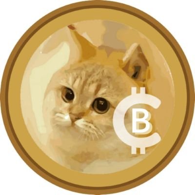 Catcoin soon Binance