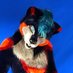 Ushay (@UshayWoof) Twitter profile photo