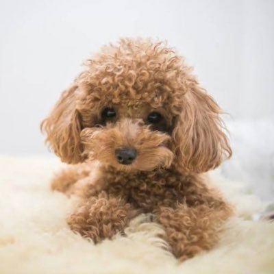 pachislot_love8's profile picture. 10年ホストして、 今ニート満喫してます🙌