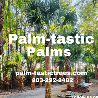 Backed by 40 years of experience with landscaping and installing palm trees. Check out our website and follow us on Instagram @ palmtastictrees