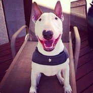 nitka006's profile picture. Blockchain engineer | Constructing the infrastructure of tomorrow.