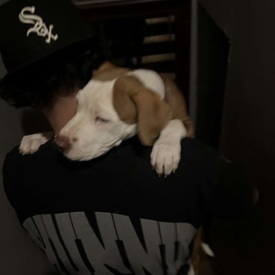 RodneyVillega10's profile picture. 