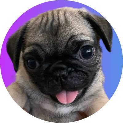 DogStxTngue's profile picture. Hi! I am Kenzo. I ❤️ sticking my tongue out, most especially whenever I see my hoomans. Mommy said I may not be the smartest but I’m definitely the sweetest.