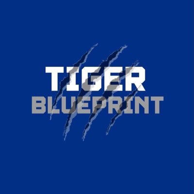 TigerBlueprint Profile Picture