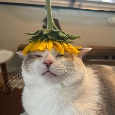 Nubnipnina Profile Picture