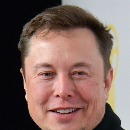 CEO Tesla,also CEO SpaceX, neurotechnology company Neuralink, Twitter