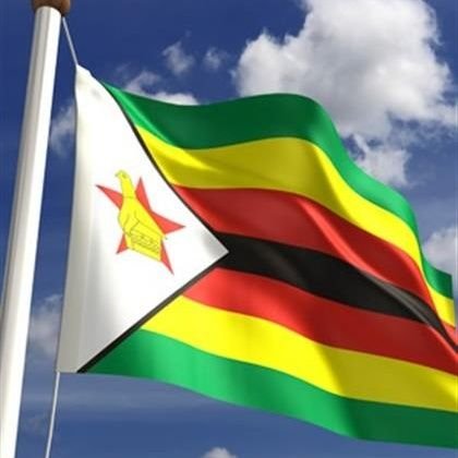 Tikabatana tinonakisa nyika 

Nyuchi haigadzire huchi iri yoga 
#Zimbabweyamangwana