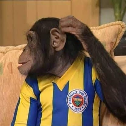 hala fener